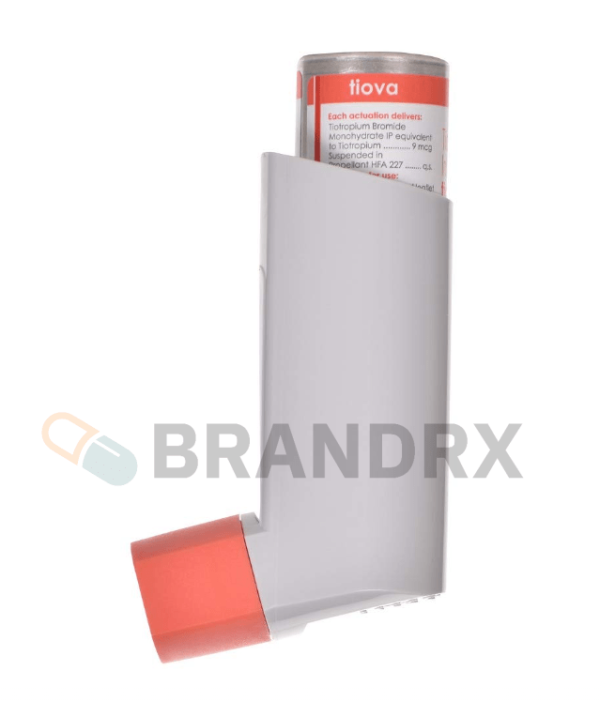 8gDy5qey2pPplwU6rJPm